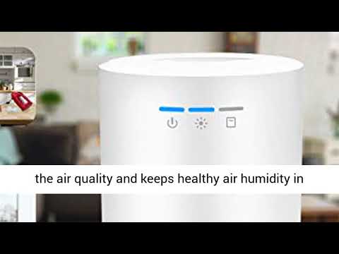 Letsport Upgraded 68oz Dehumidifier for Home