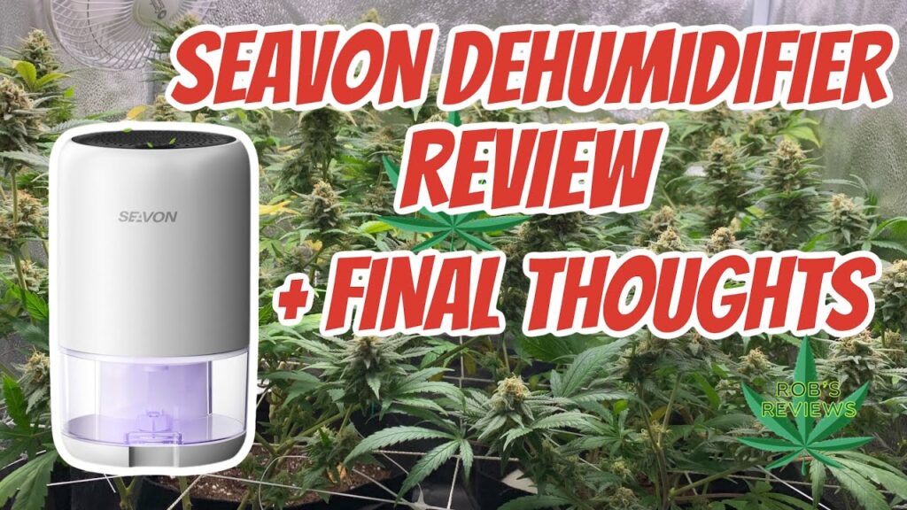 Seavon dehumidifier Review + Final Thoughts