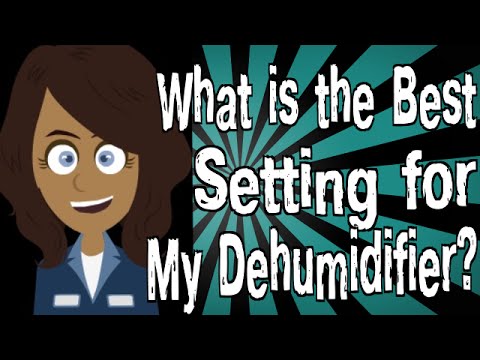 What is the Best Setting for My Dehumidifier?